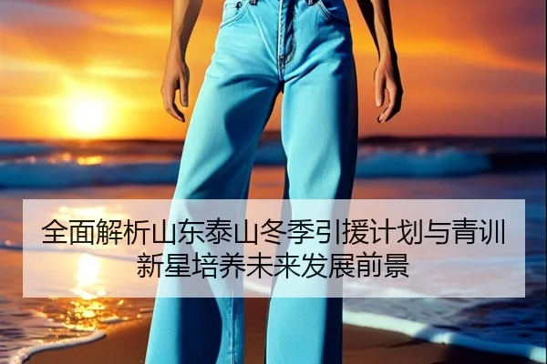 全面解析山东泰山冬季引援计划与青训新星培养未来发展前景